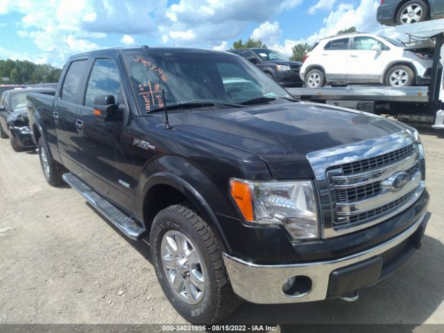 FORD F-150 2013 1ftfw1et8dkd44056