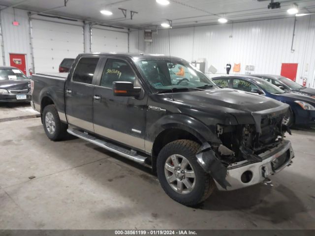 FORD NULL 2013 1ftfw1et8dke23355