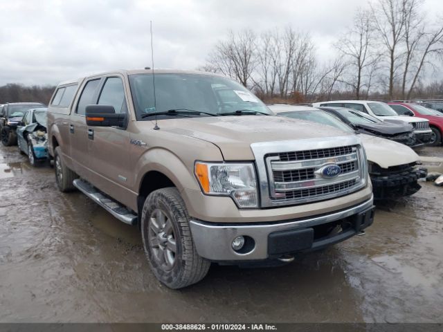 FORD F-150 2013 1ftfw1et8dke28460