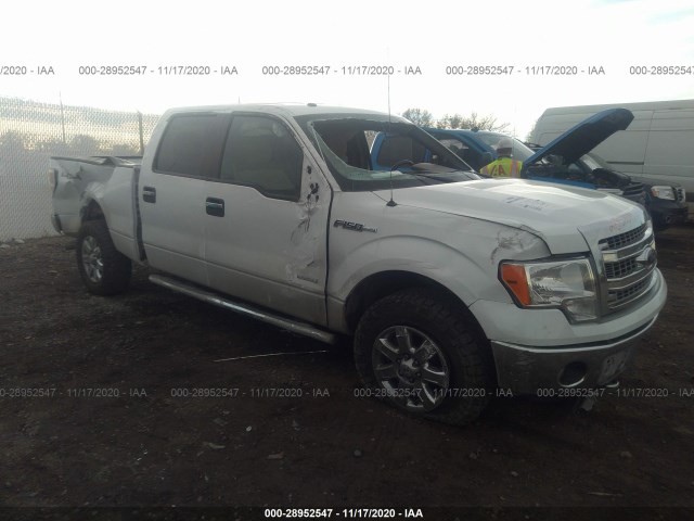 FORD F-150 2013 1ftfw1et8dke81515