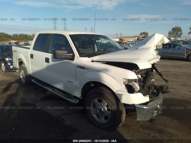 FORD F-150 2013 1ftfw1et8dkf30356