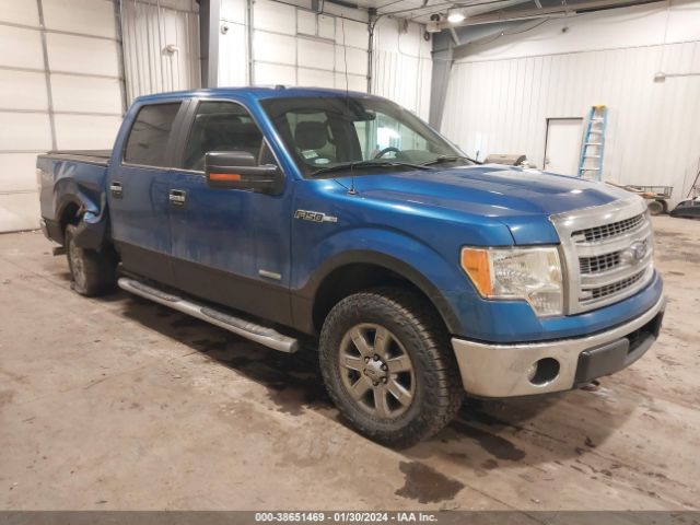 FORD F-150 2013 1ftfw1et8dkf66418