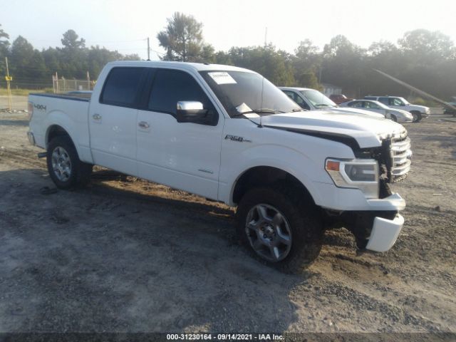 FORD F-150 2013 1ftfw1et8dkg11874