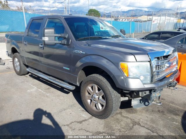 FORD F-150 2013 1ftfw1et8dkg52540