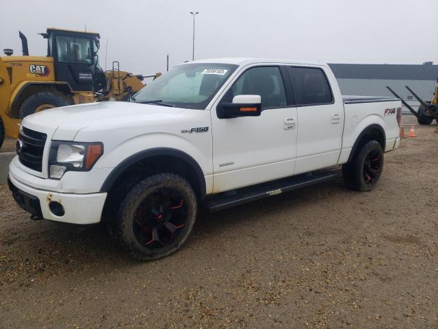 FORD F-150 2014 1ftfw1et8efa96661