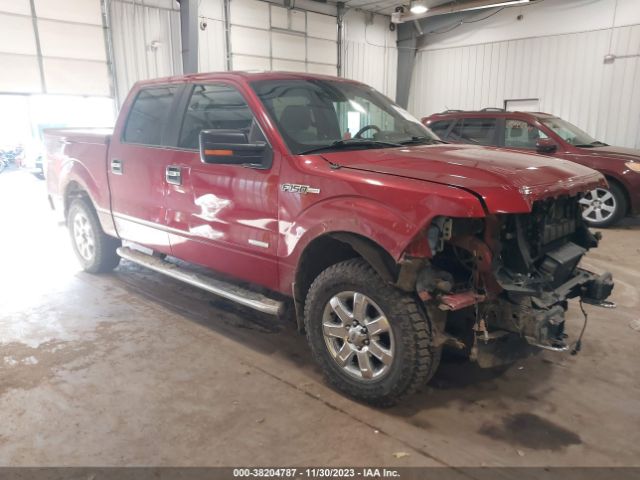 FORD F-150 2014 1ftfw1et8efc34053