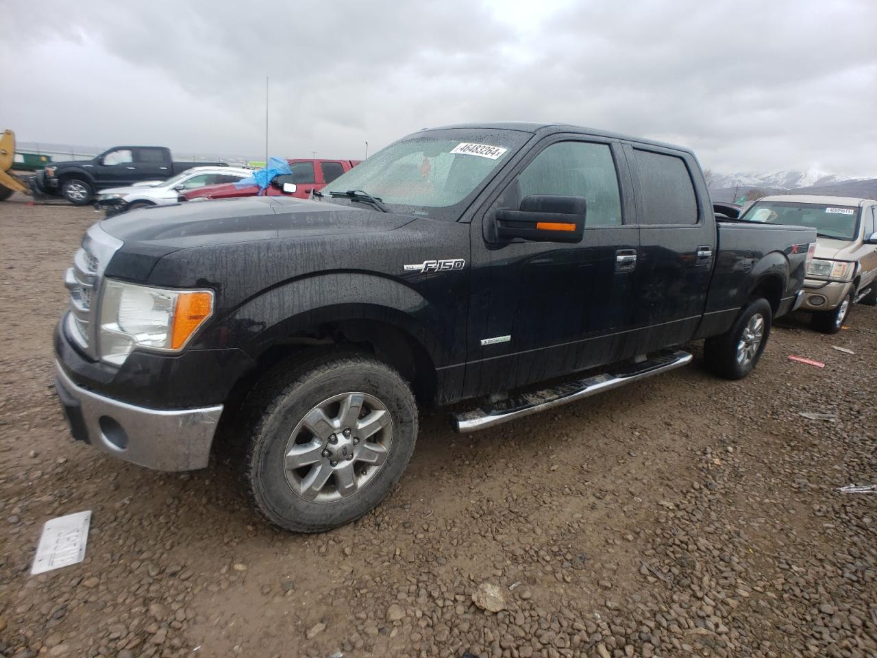 FORD F-150 2014 1ftfw1et8efc45263