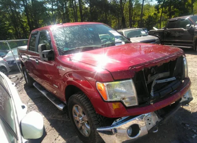 FORD F-150 2014 1ftfw1et8efd13996