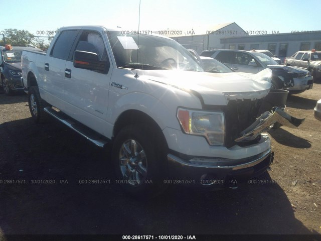 FORD F-150 2014 1ftfw1et8ekd59982