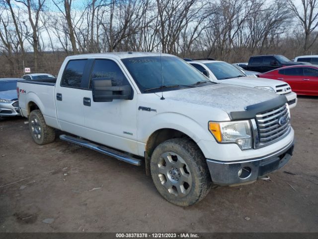 FORD F-150 2011 1ftfw1et9bfb11907