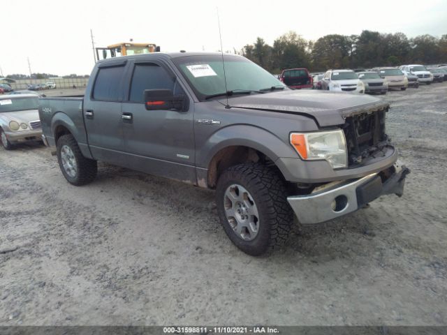 FORD F-150 2011 1ftfw1et9bfb21384