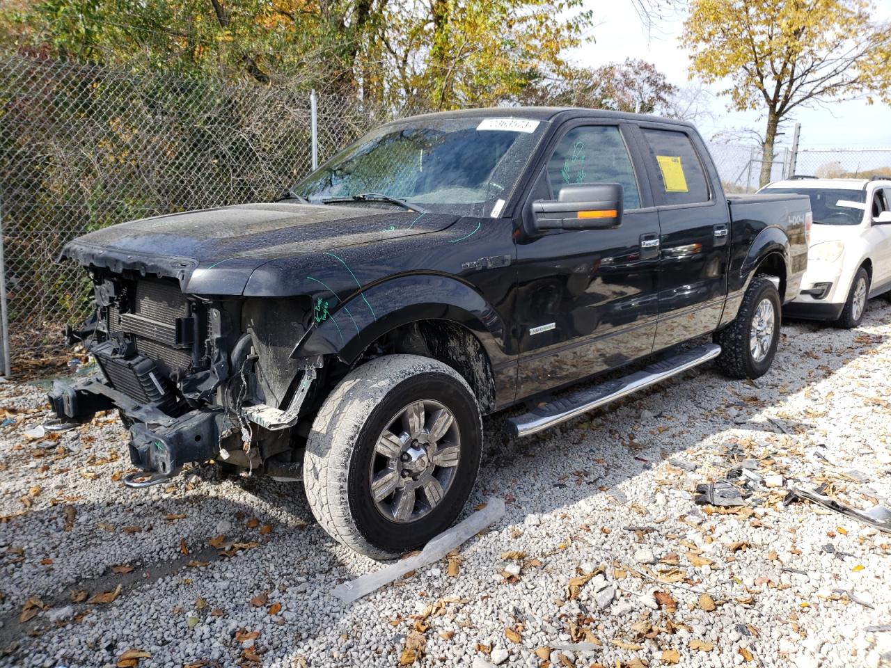 FORD F-150 2011 1ftfw1et9bfb40131