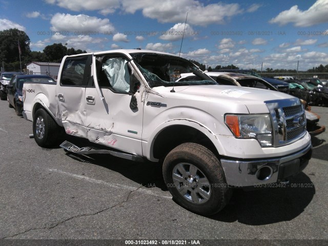 FORD F-150 2011 1ftfw1et9bfc18651