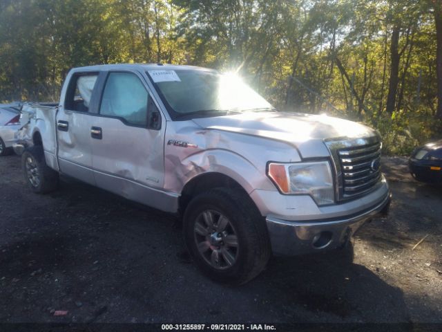 FORD F-150 2011 1ftfw1et9bfc74864