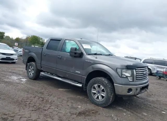 FORD F-150 2011 1ftfw1et9bfc99456