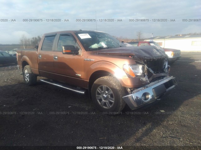 FORD F-150 2011 1ftfw1et9bfd05966