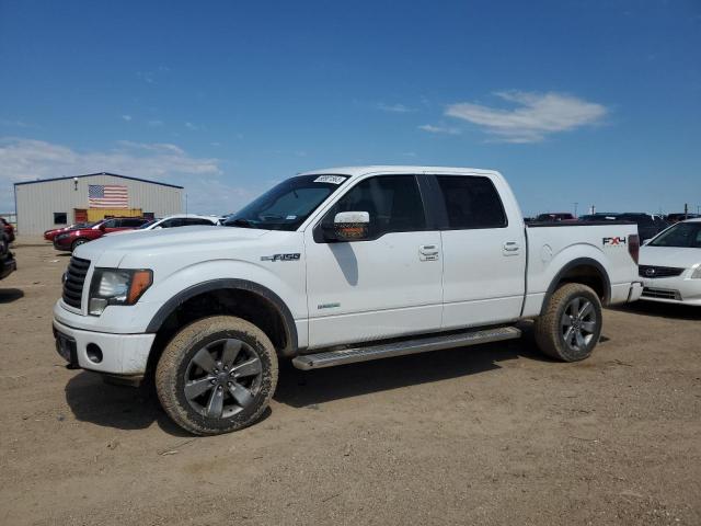 FORD F150 2011 1ftfw1et9bfd09810