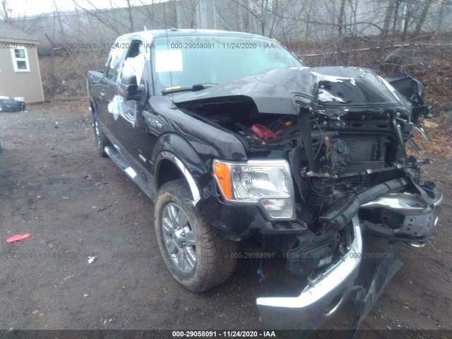 FORD F-150 2011 1ftfw1et9bkd76057