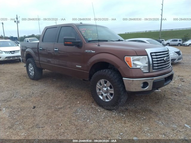 FORD F-150 2012 1ftfw1et9cfa09511