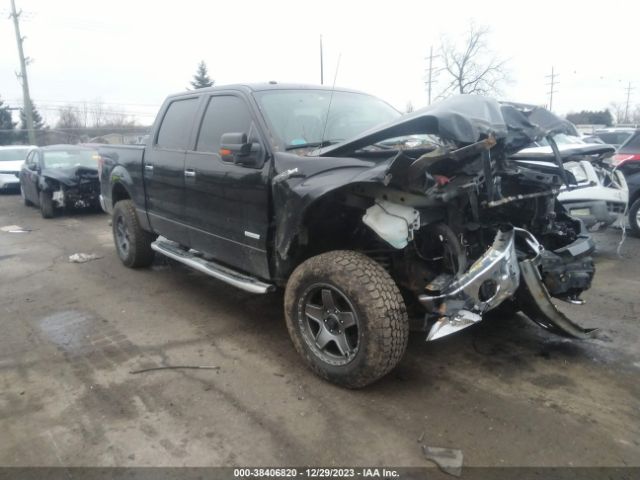 FORD F-150 2012 1ftfw1et9cfb48909