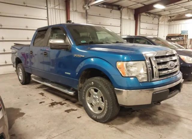 FORD F-150 2012 1ftfw1et9cfb59764