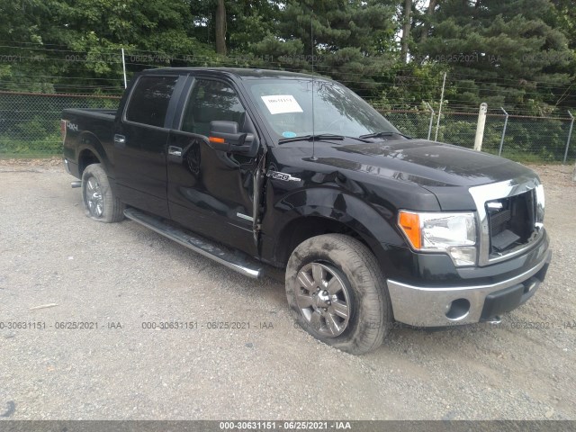 FORD F-150 2012 1ftfw1et9cfc91715