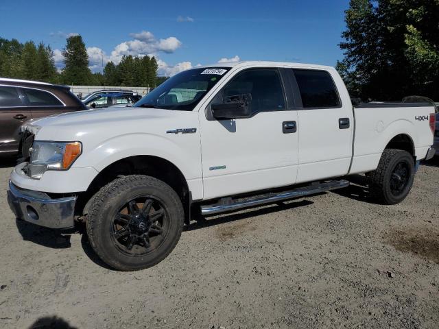 FORD F-150 2012 1ftfw1et9cke00438