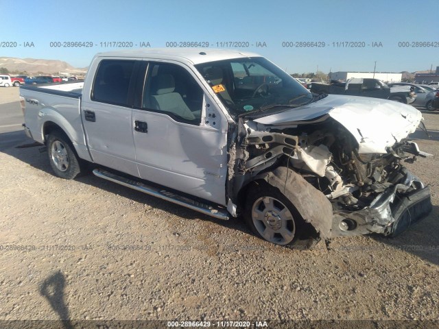 FORD F-150 2013 1ftfw1et9dfa18100