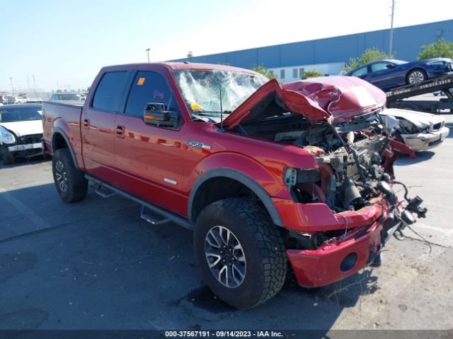 FORD F-150 2013 1ftfw1et9dfa30716