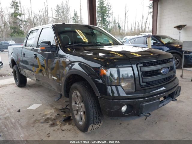 FORD F-150 2013 1ftfw1et9dfa63697