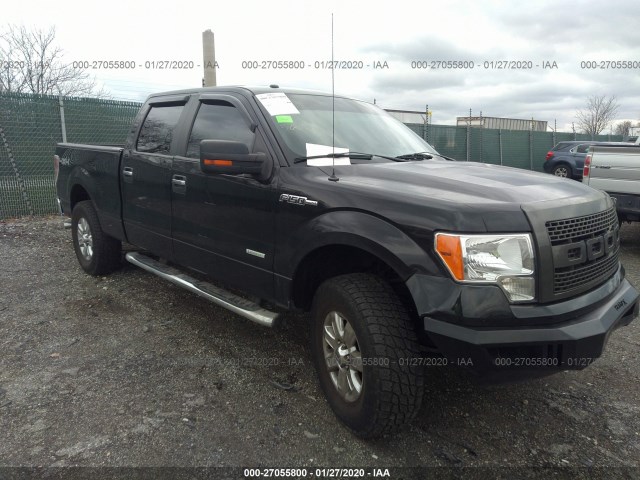 FORD F-150 2013 1ftfw1et9dfa97879