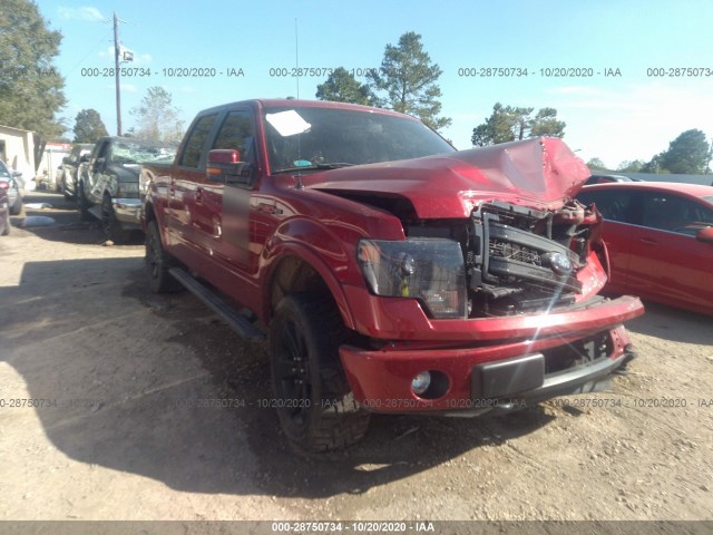 FORD F-150 2013 1ftfw1et9dfa98997