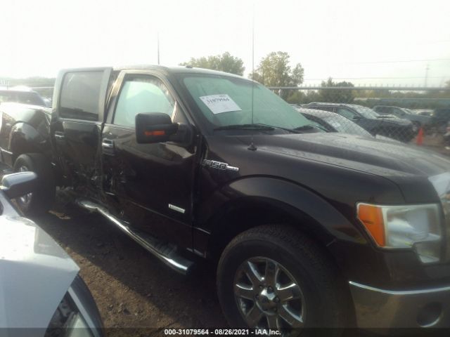 FORD F-150 2013 1ftfw1et9dfb50838