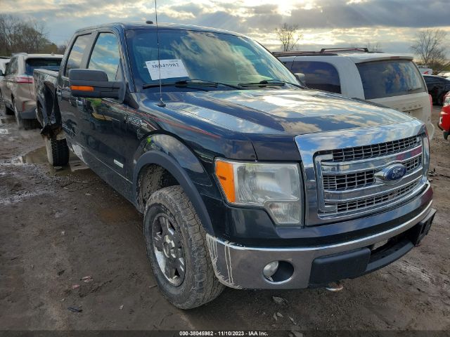 FORD F-150 2013 1ftfw1et9dfc00850