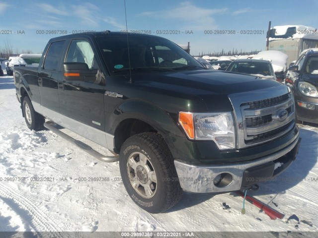 FORD F-150 2013 1ftfw1et9dfc20659