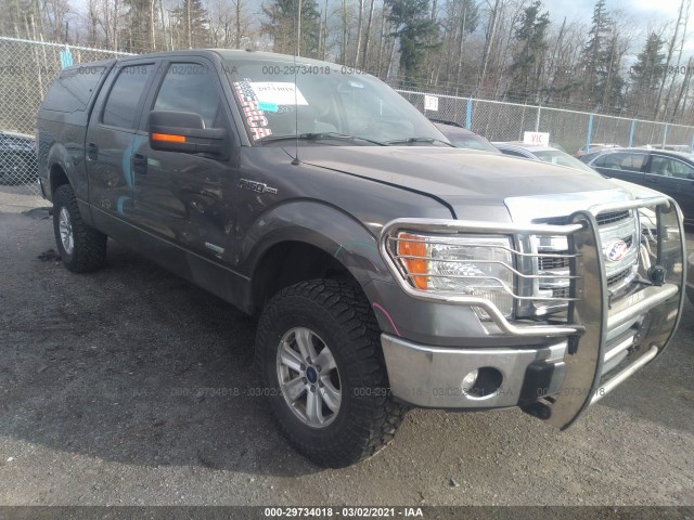 FORD F-150 2013 1ftfw1et9dfd35844