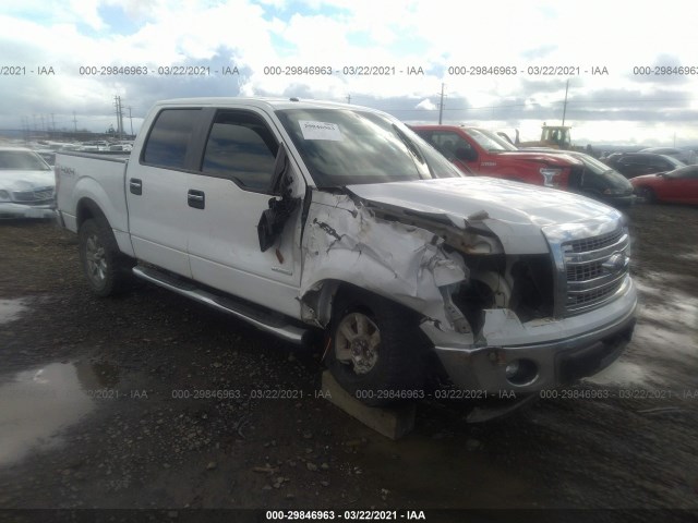 FORD F-150 2013 1ftfw1et9dfd41899