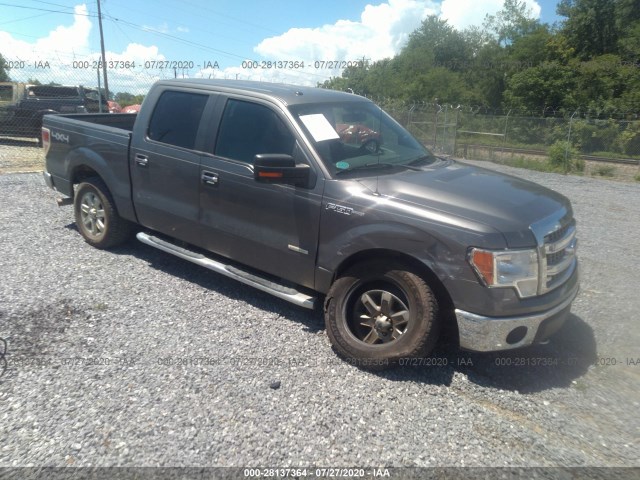 FORD F-150 2013 1ftfw1et9dfd62042