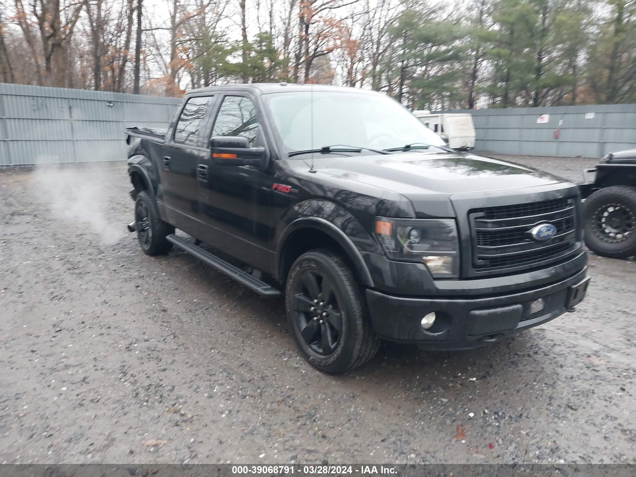 FORD F-150 2013 1ftfw1et9dfd88124