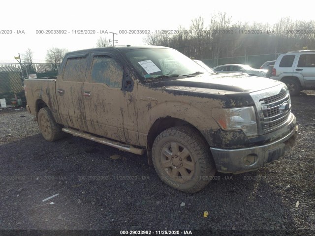 FORD F-150 2013 1ftfw1et9dfd99415