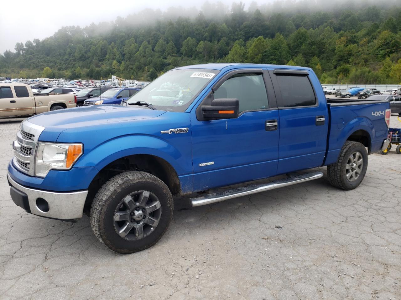 FORD F-150 2013 1ftfw1et9dfd99706