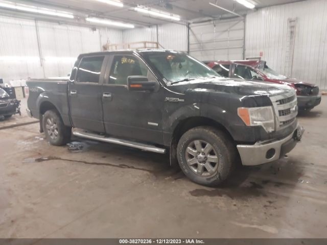 FORD F-150 2013 1ftfw1et9dfe05715