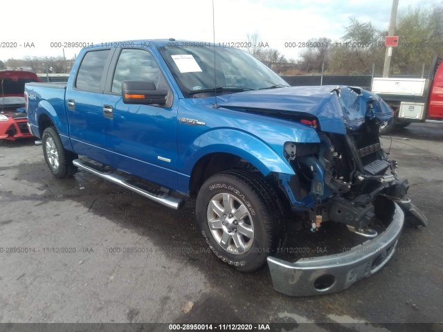 FORD F-150 2013 1ftfw1et9dkg08451