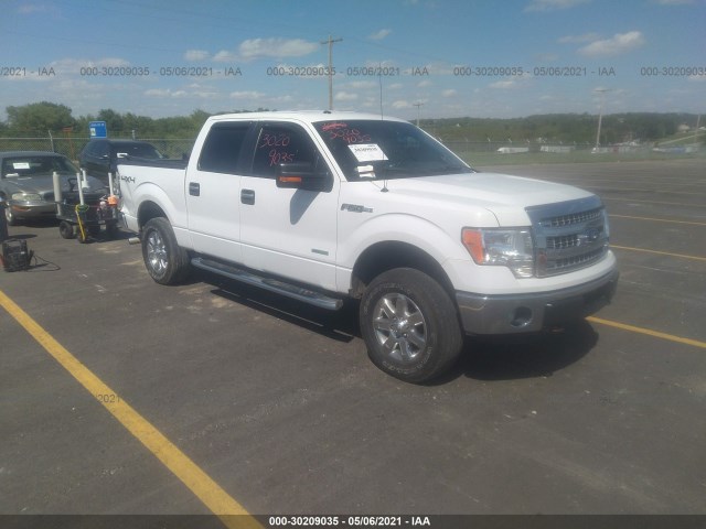 FORD F-150 2013 1ftfw1et9dkg27811