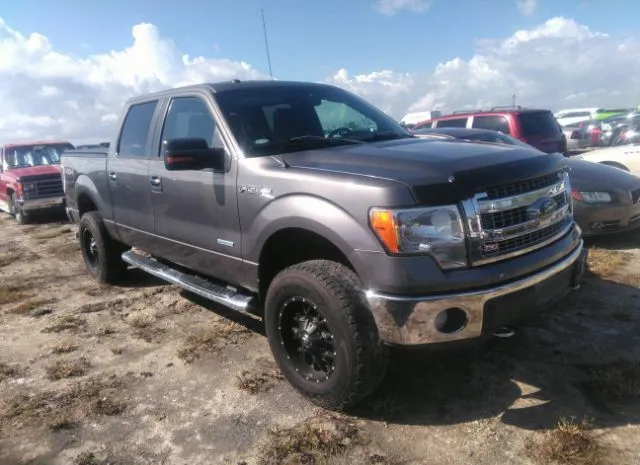 FORD F-150 2013 1ftfw1et9dkg27985