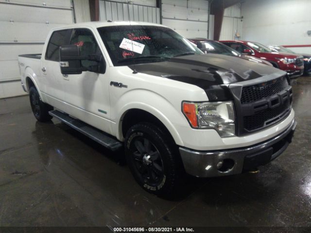 FORD F-150 2013 1ftfw1et9dkg28294