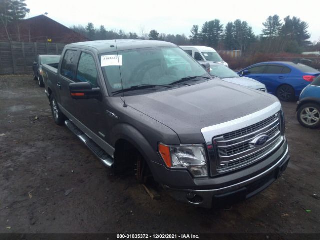 FORD F-150 2013 1ftfw1et9dkg37139