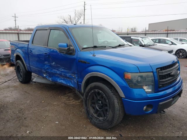 FORD F-150 2013 1ftfw1et9dkg48903