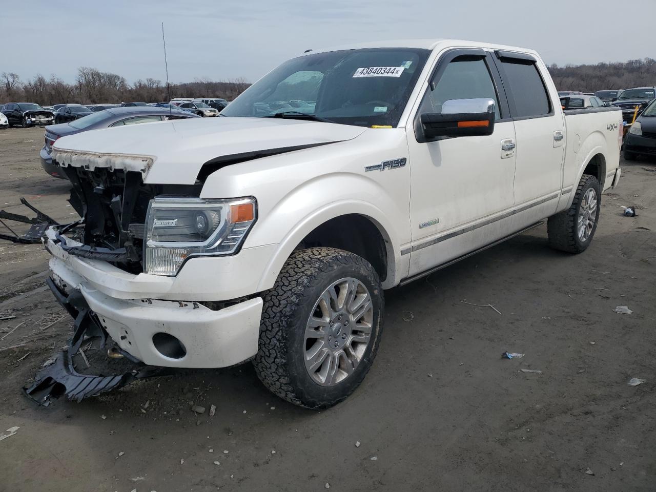 FORD F-150 2014 1ftfw1et9efa69873