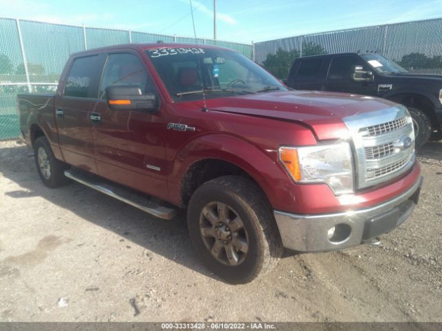 FORD F-150 2014 1ftfw1et9efa81506